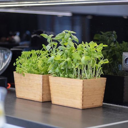 Vip Apartament 热舒夫 外观 照片